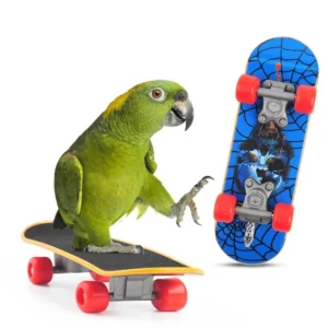 1 PC Parrot Training Skateboard Bird Supplies Skates, Lovebird Canaries Perch for Parrots, For Birds Accessories