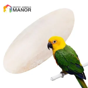 10 Pcs Parrot Desalting Cuttlebone Toys Practical Pet Training Chew Molar Toys Parrot Desalted Cuttlefish Bone Chewing Toy